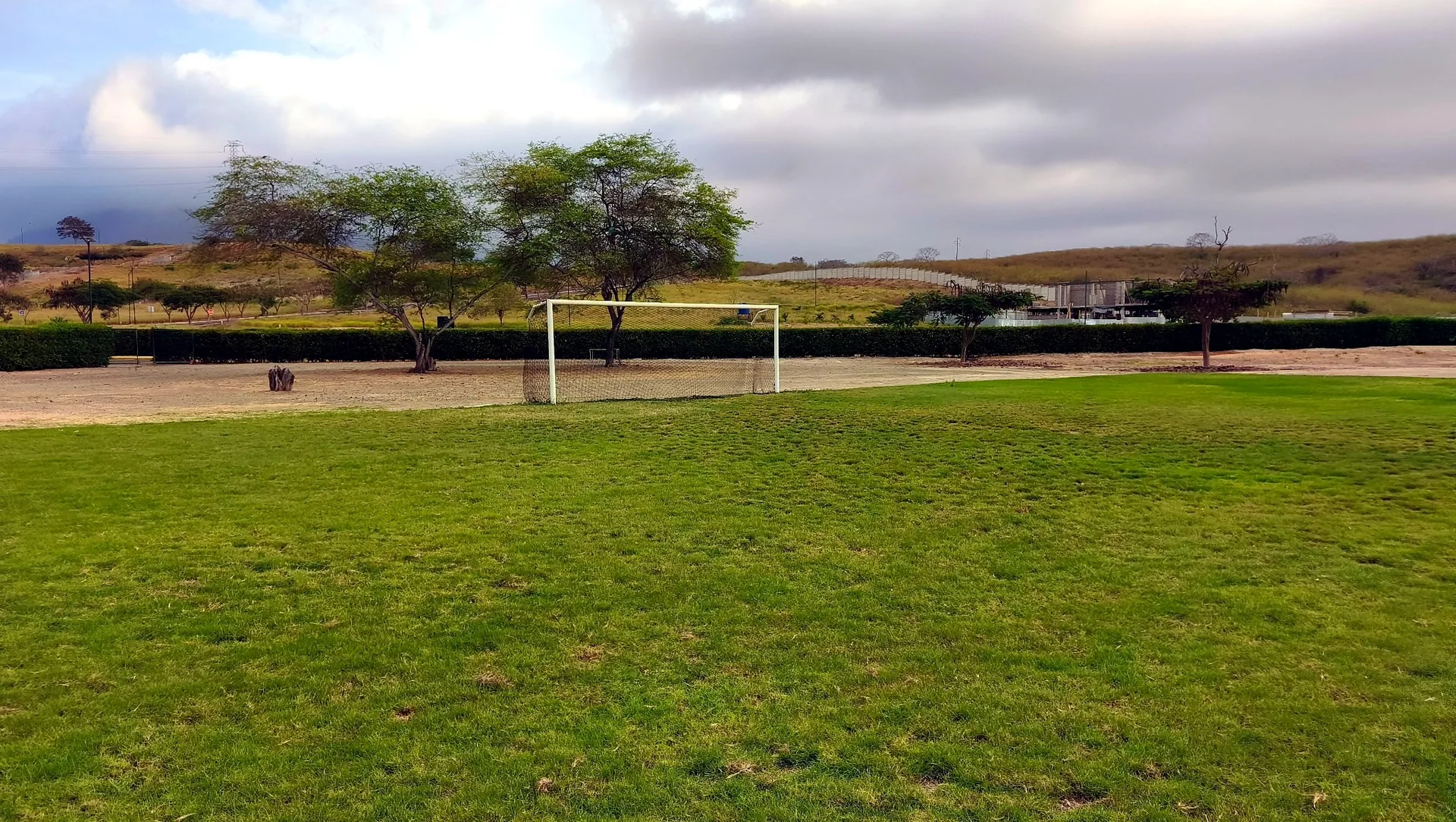 Cancha de césped natural